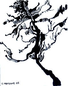 BRANCHES CALLIGRAPHIE N°1. Encre sur toile. 2005. Collection particulière.