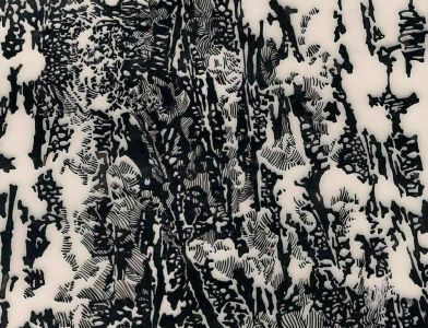 NATURE. Encre. 1972. Collection privée.