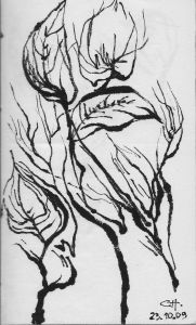 VEGETATION 1. Encre sur papier. 16 x 10 cm. 2009.