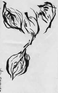 VEGETATION 2. Encre sur papier. 8 x 14 cm. 2009.