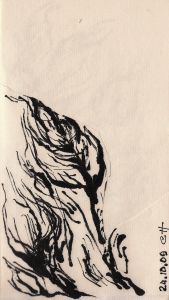 VEGETATION 5. Encre sur papier. 9 x 16 cm. 2009.